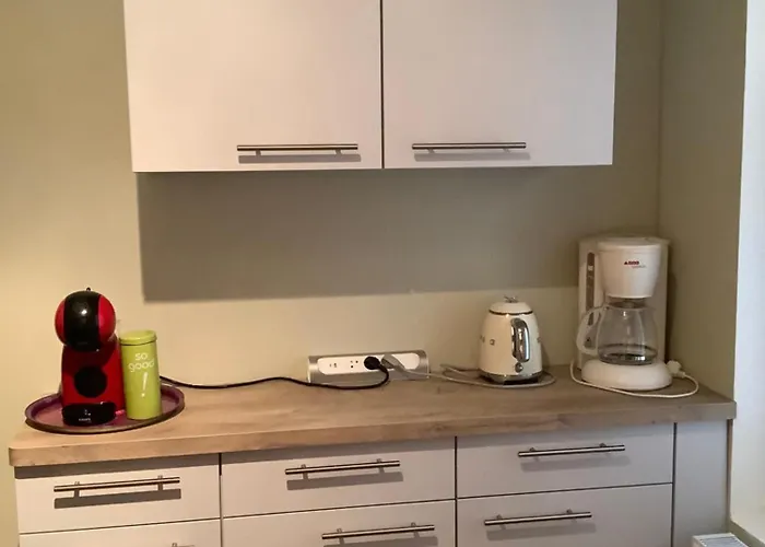 Le Beauparlant, 5 Min Grand Marche, 10min Gares Et Thermes * Vichy