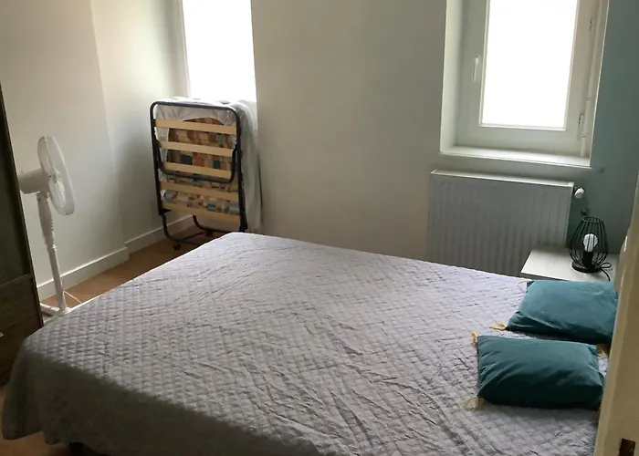 Le Beauparlant, 5 Min Grand Marche, 10min Gares Et Thermes *